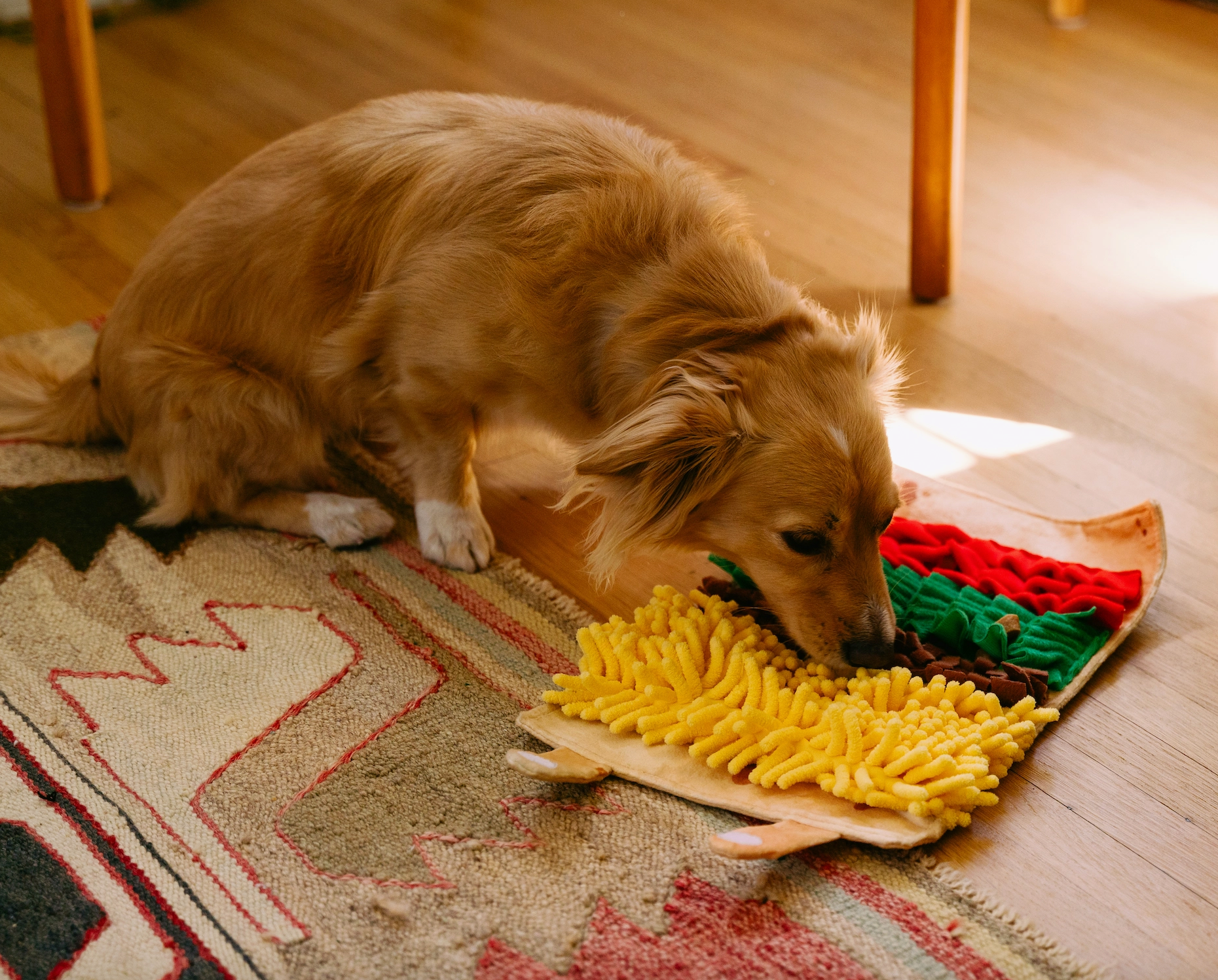 ZippyPaws Hundespielzeug "Burrito"