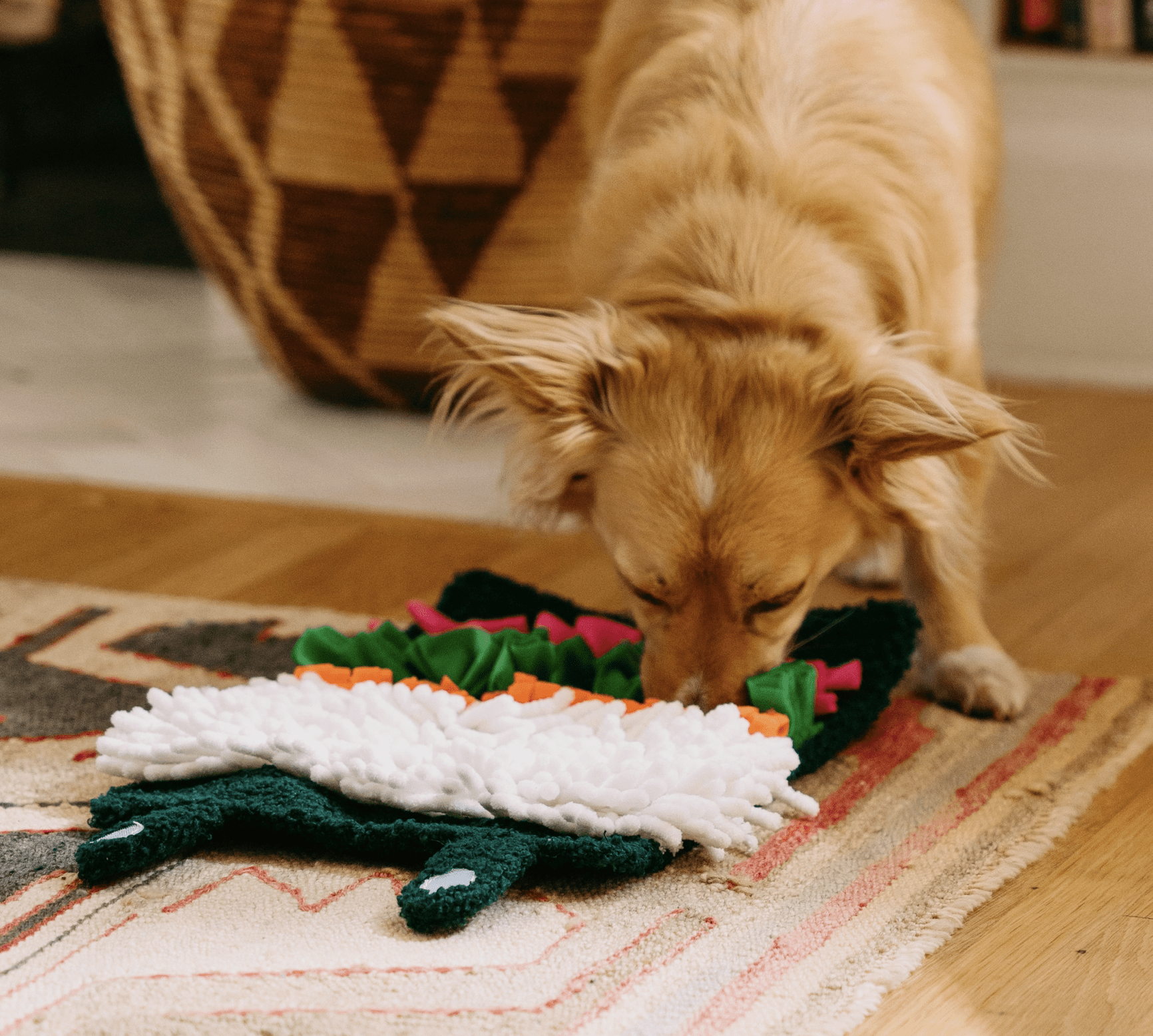 ZippyPaws Hundespielzeug "Sushi"