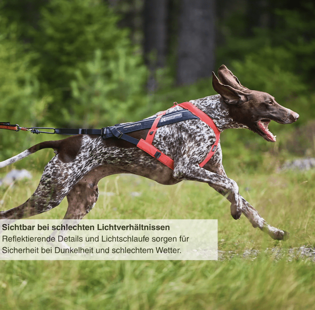 Non-stop dogwear Freemotion harness 5.0 "teal"