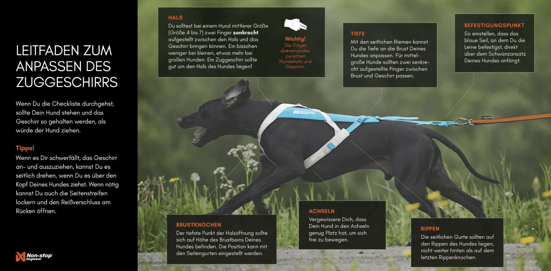 Non-stop dogwear Freemotion harness 5.0 "pink/grey"
