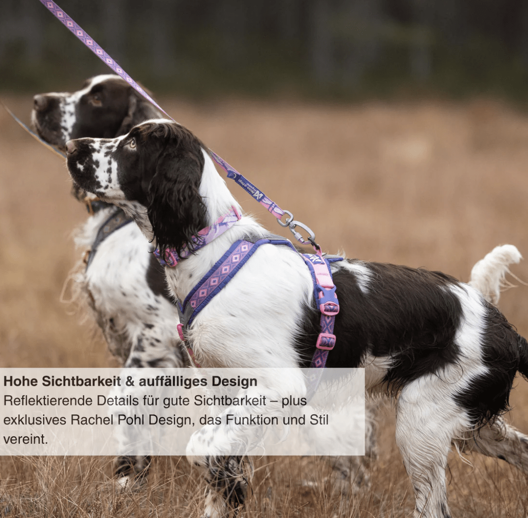 Non-stop dogwear Line harness 5.0 Rachel Pohl Edition "purple/pink"