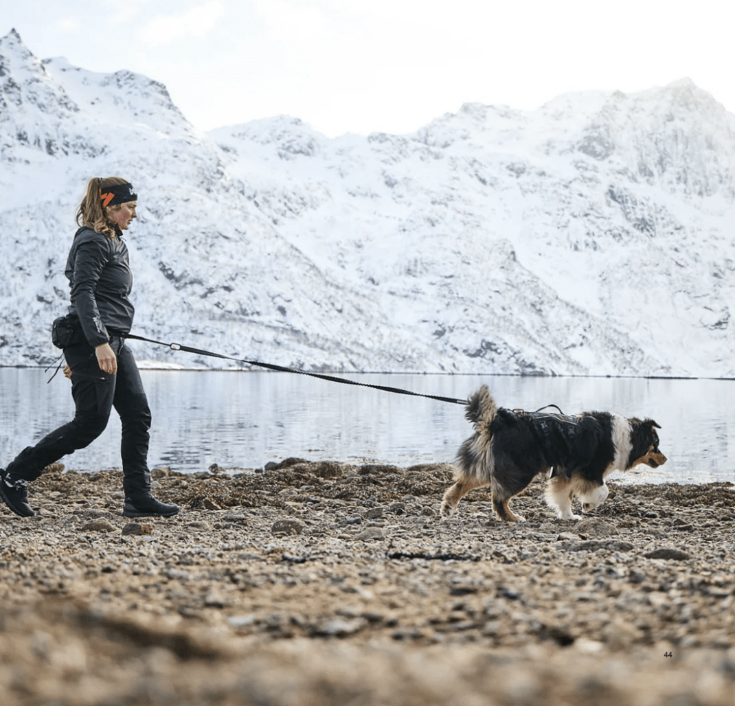 Non-stop dogwear Trail light belt