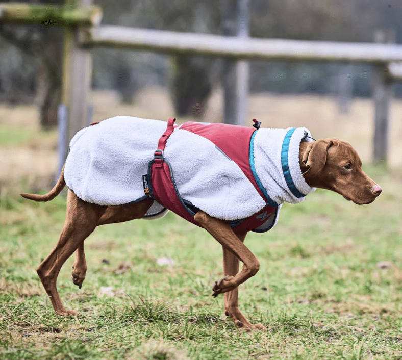 Non-stop dogwear Trekking fleece jacket "grey/wine/teal"