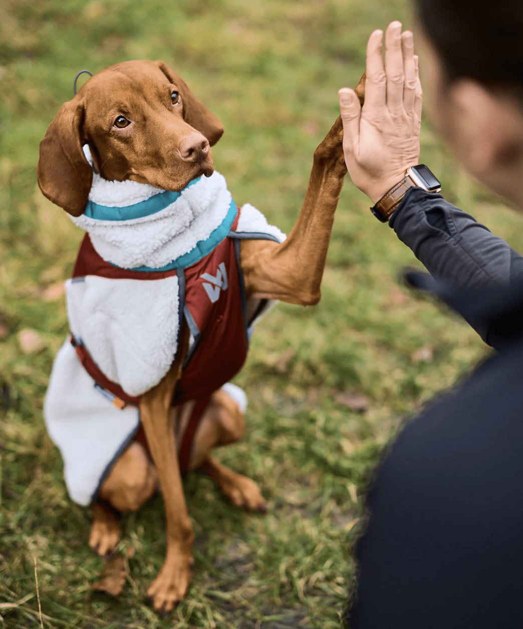 Non-stop dogwear Trekking fleece jacket "grey/wine/teal"
