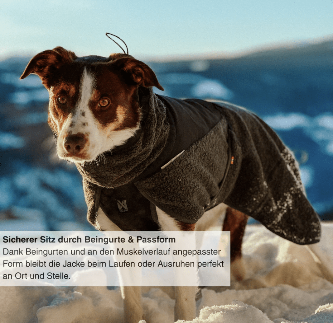 Non-stop dogwear Wool dog jacket "dark teal"