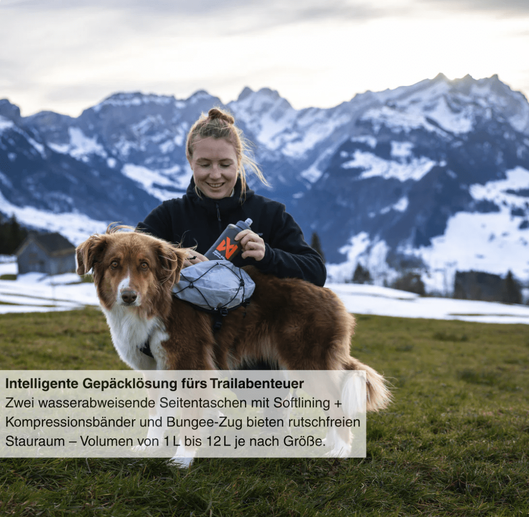 Non-stop dogwear Trail Light Dog Backpack