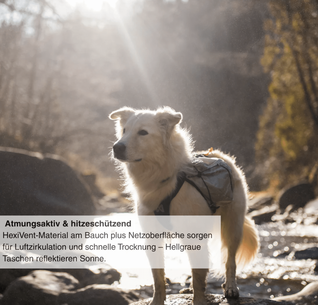 Non-stop dogwear Trail Light Dog Backpack