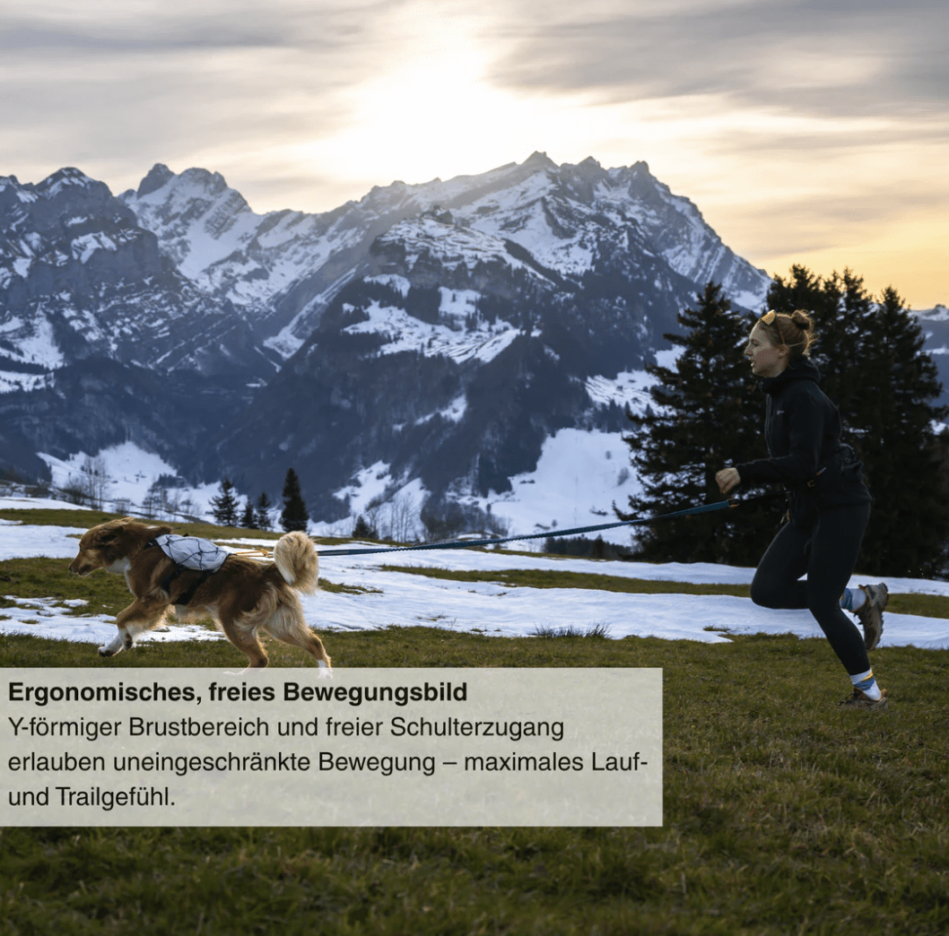 Non-stop dogwear Trail Light Dog Backpack