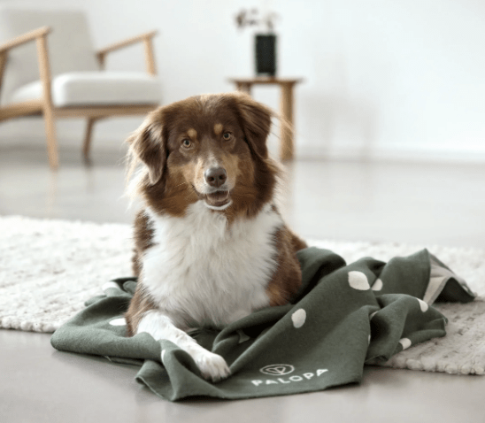 PALOPA Hundedecke Ida L "Punkte dunkelgrün"