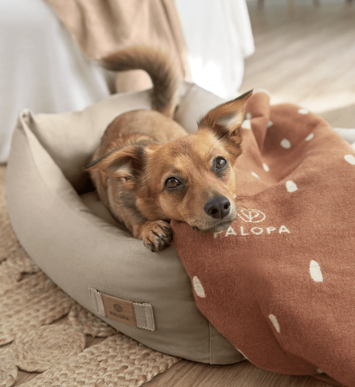 PALOPA Hundedecke Ida M "Zimt Milchig"