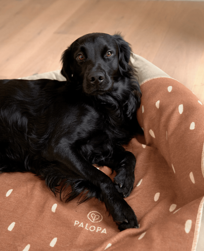 PALOPA Hundedecke Ida M "Zimt Milchig"