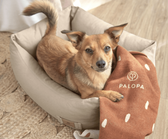 PALOPA Hundedecke Ida M "Zimt Milchig"