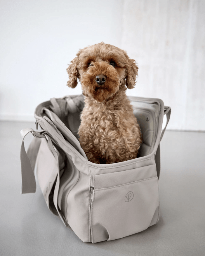PALOPA Hundetragetasche WEDA "taupe"
