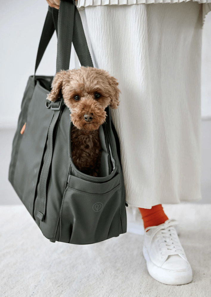 PALOPA Hundetragetasche WEDA "dunkelgrün"