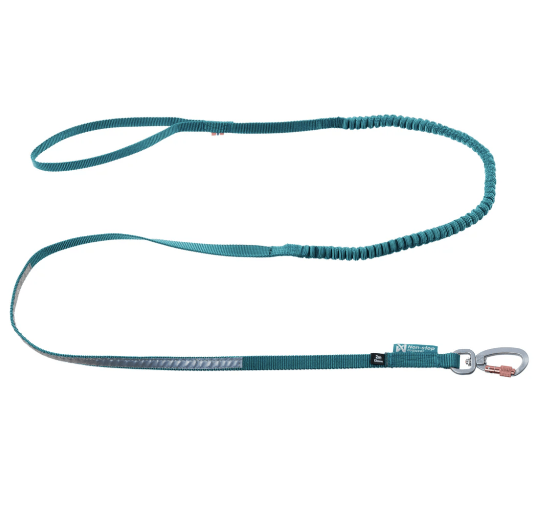 Non-stop dogwear Touring bungee leash "teal"