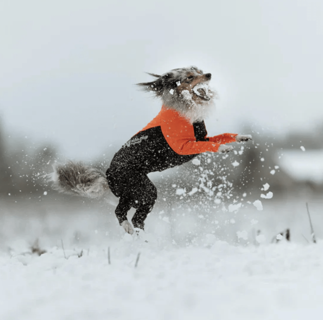 Non-stop dogwear Protector Suit