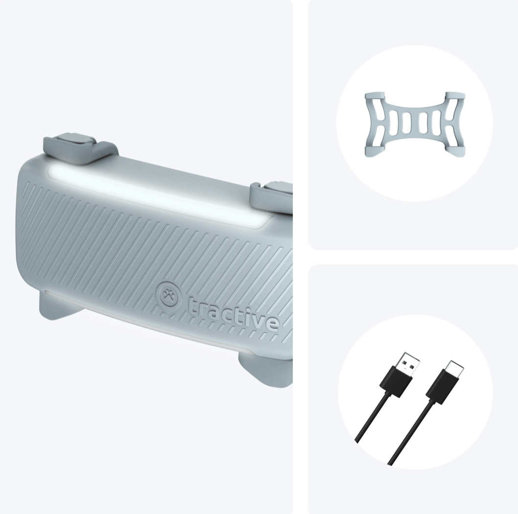 Tractive Dog6 GPS Tracker "mint"