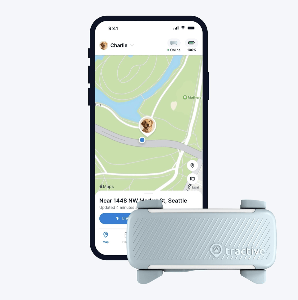 Tractive Dog6 GPS Tracker "mint"
