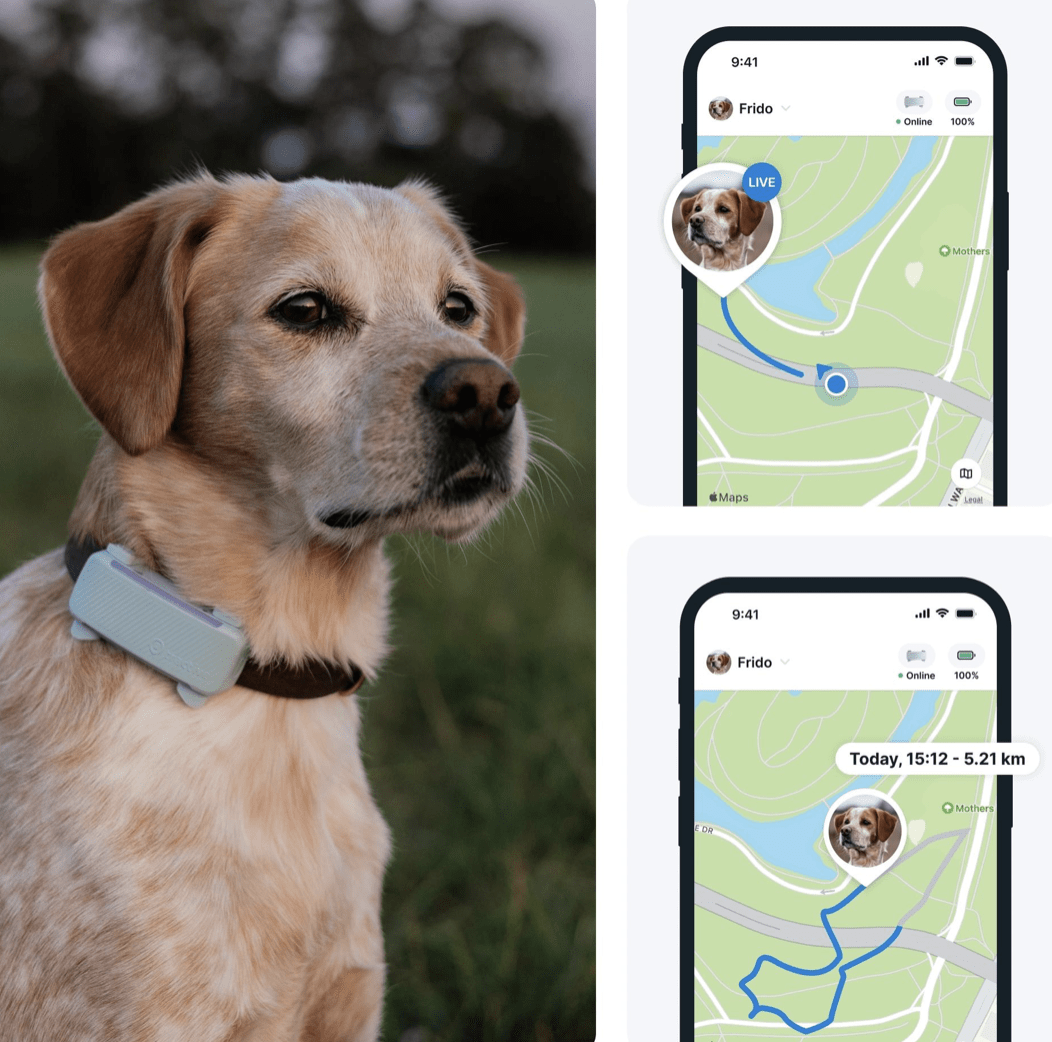 Tractive Dog6 GPS Tracker "mint"