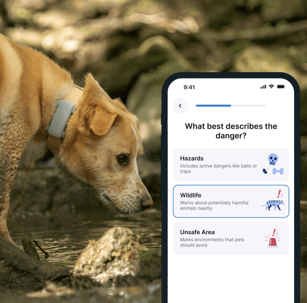 Tractive Dog6 GPS Tracker "mint"