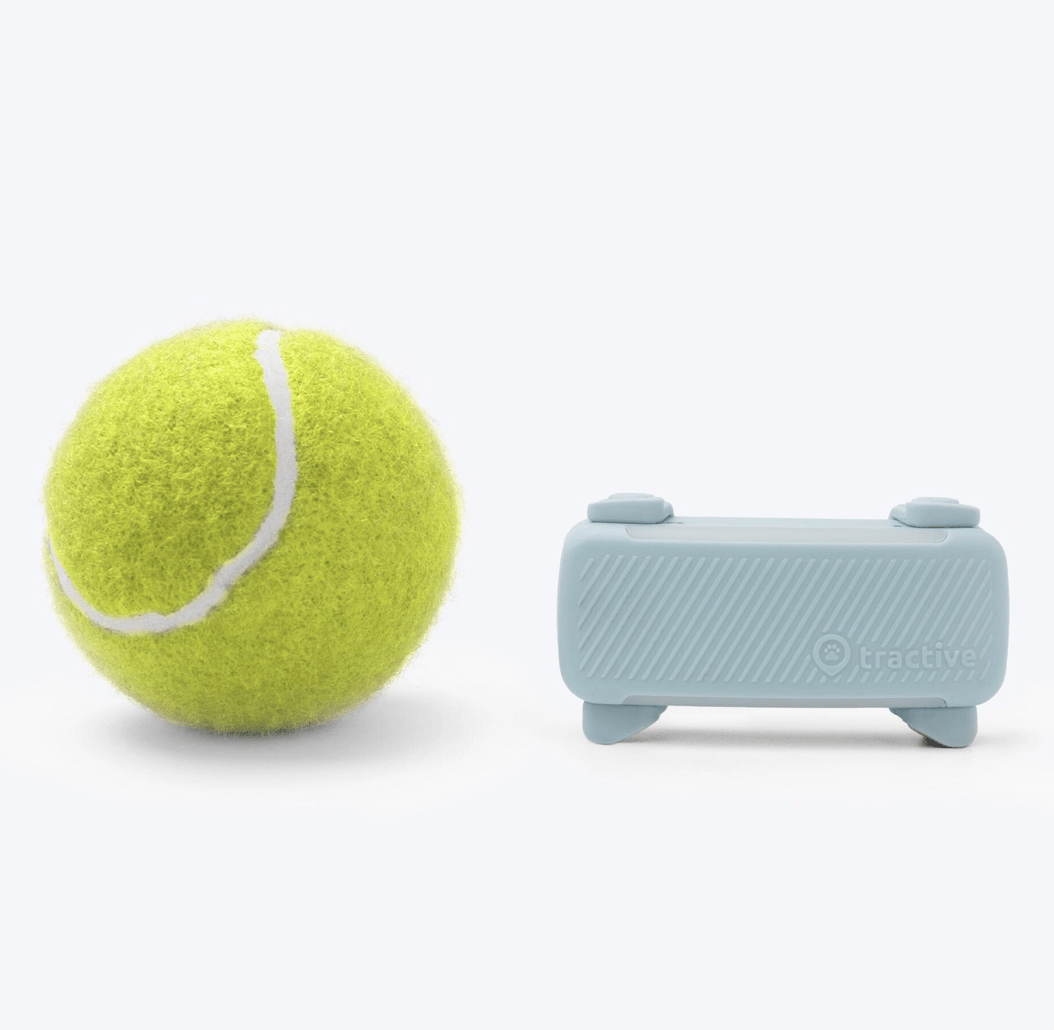 Tractive Dog6 GPS Tracker "mint"