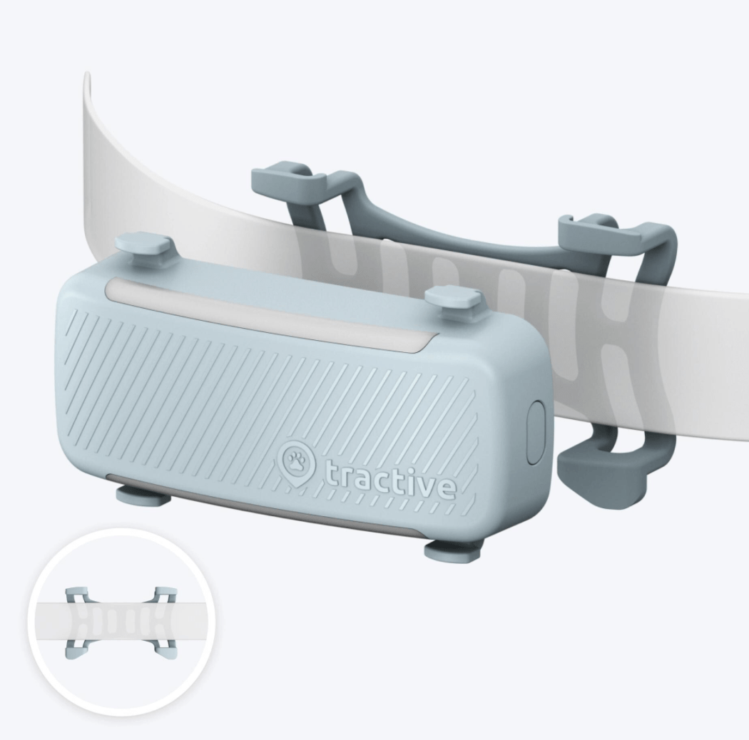 Tractive Dog6 GPS Tracker "mint"