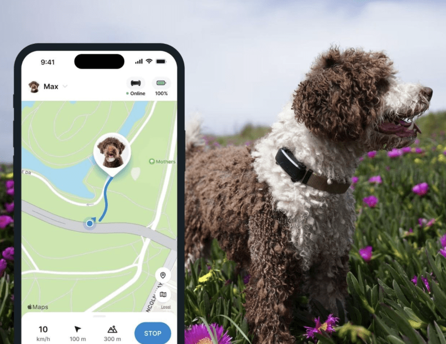 Tractive Dog6 GPS Tracker "schwarz"