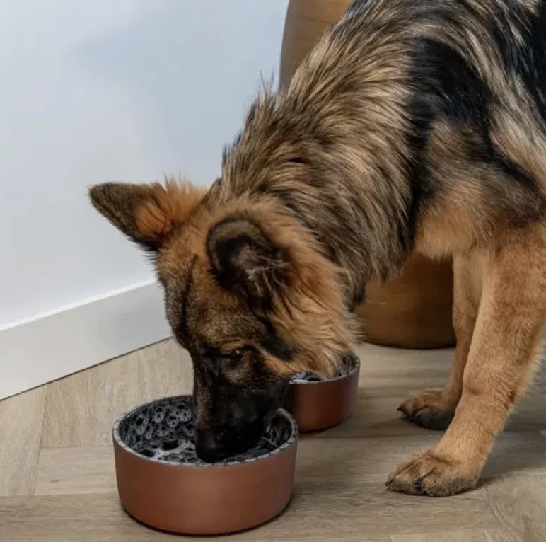 AVA bowls Hundenapf «Jag»