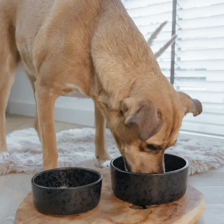 AVA bowls Hundenapf «Wolf»