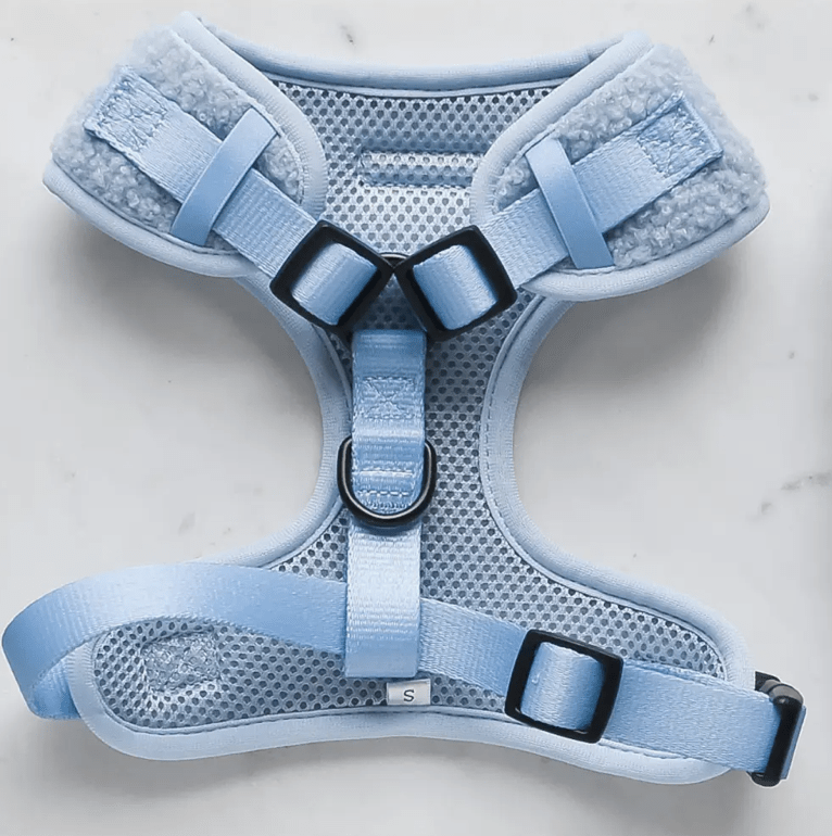 Cocopup London Teddy verstellbares Halsgeschirr "babyblau"