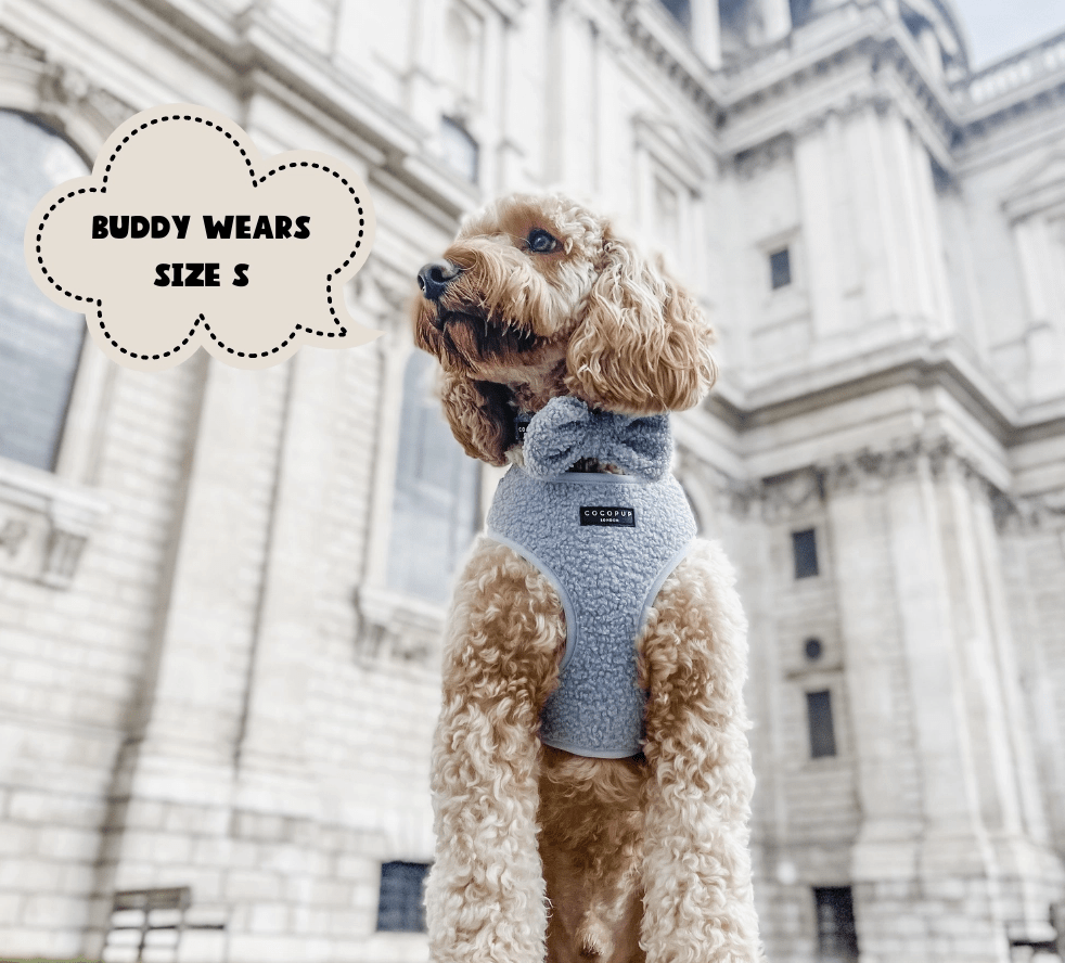 Cocopup London Teddy verstellbares Halsgeschirr "babyblau"