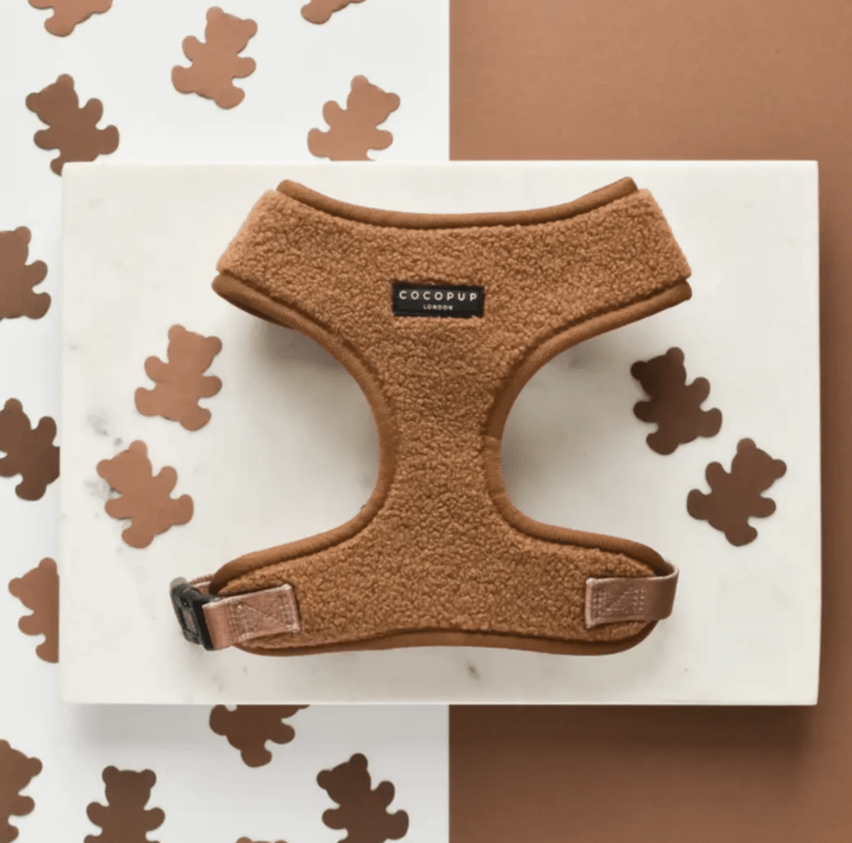 Cocopup London Teddy verstellbares Halsgeschirr "Paddington"