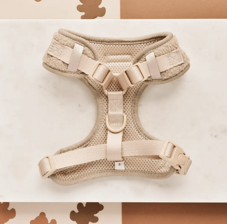 Cocopup London Teddy verstellbares Halsgeschirr mit besticktem Teddy-Motiv