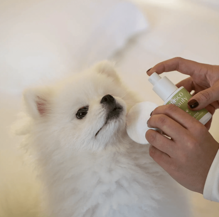 Masco Beauty Augenreiniger für Hunde