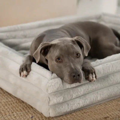 ammi for dogs® Kuschelbezug Hunde grau