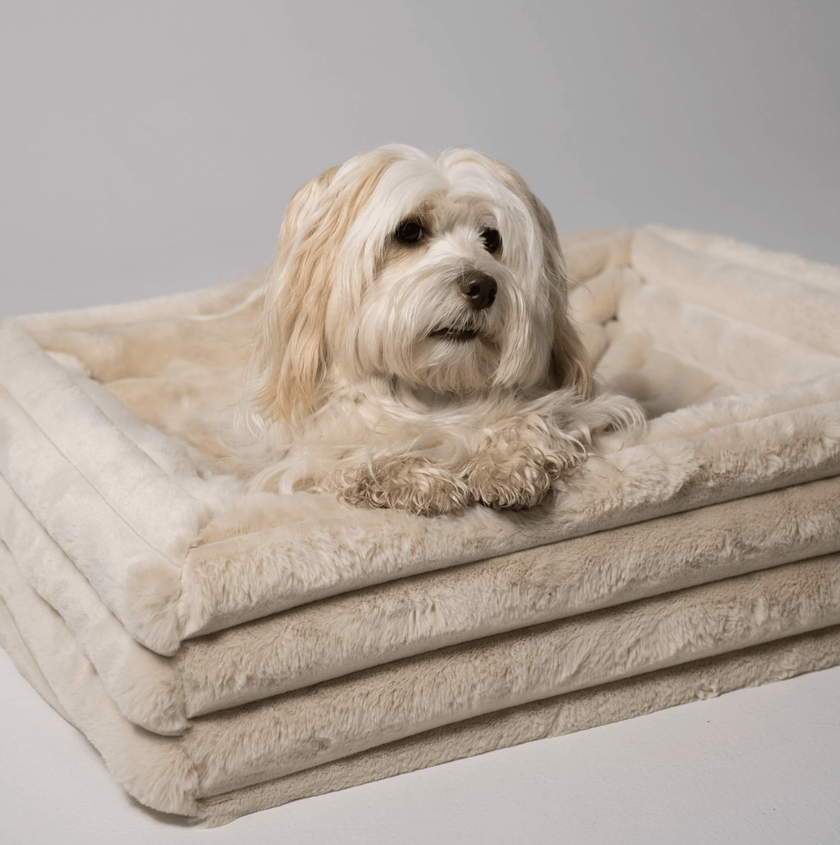 ammi for dogs® Kuschelbezug Hunde beige