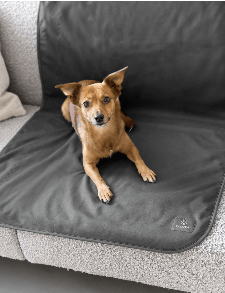 PALOPA Hunde Schutzmatte "anthrazit"