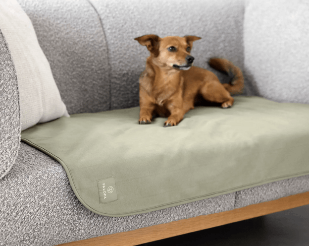 PALOPA Hunde Schutzmatte "grün"