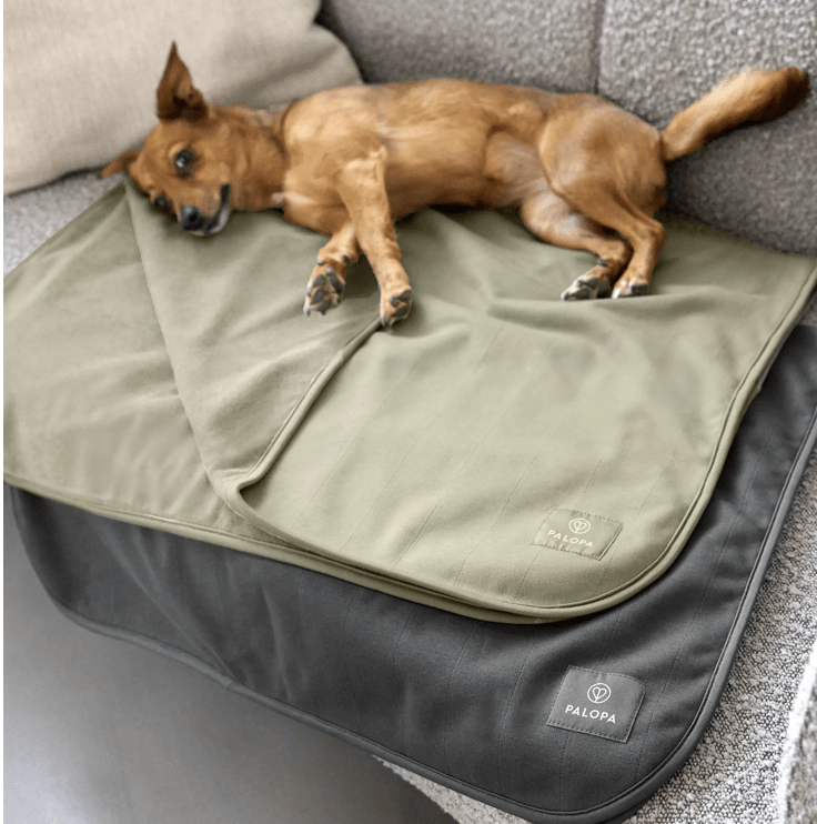 PALOPA Hunde Schutzmatte "grün"