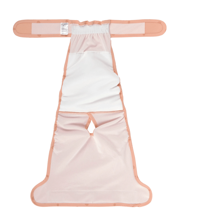 PALOPA Hundewindel Glan "peach"