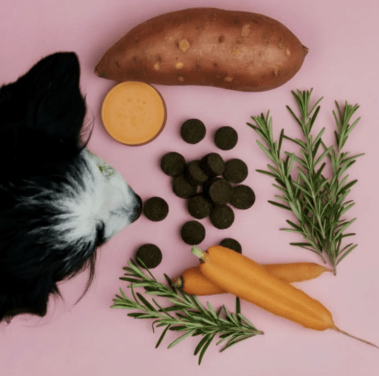 Tierliebhaber Analdrüsen Drops