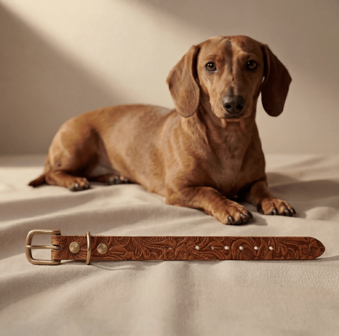 Doggy with Style Lederhalsband Floralis "Cognac"