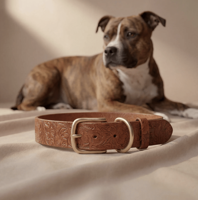 Doggy with Style Lederhalsband Floralis "Cognac"