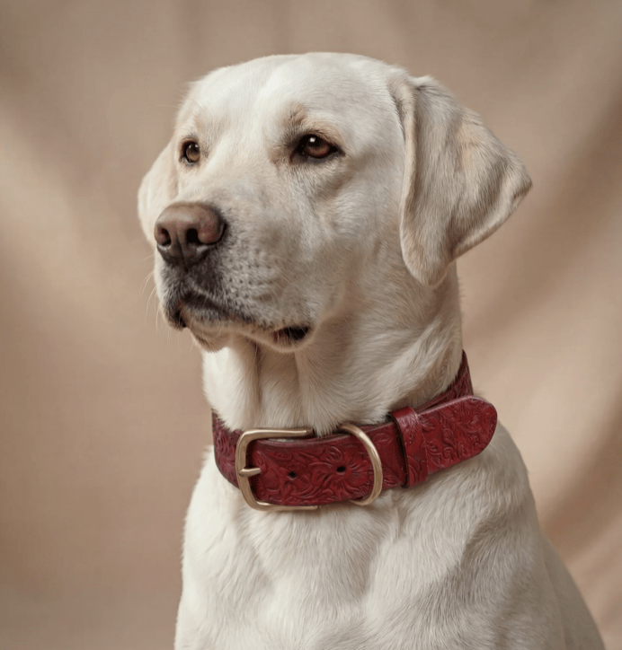 Doggy with Style Lederhalsband Floralis "Rot"