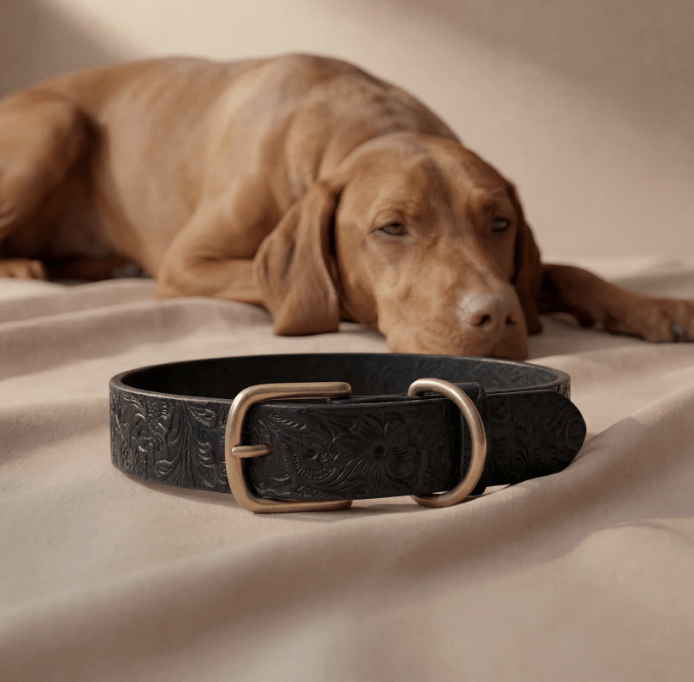 Doggy with Style Lederhalsband Floralis "Schwarz"