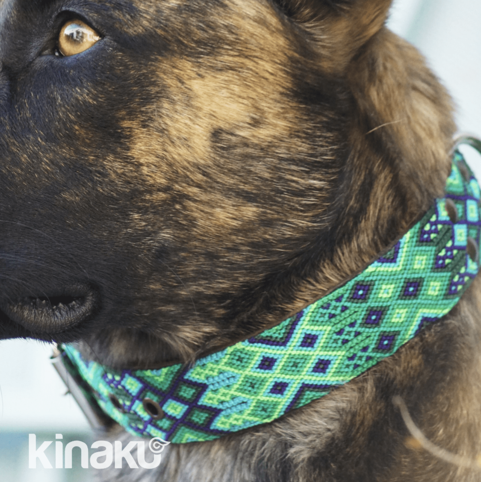 Kinakú Hundehalsband BECAN