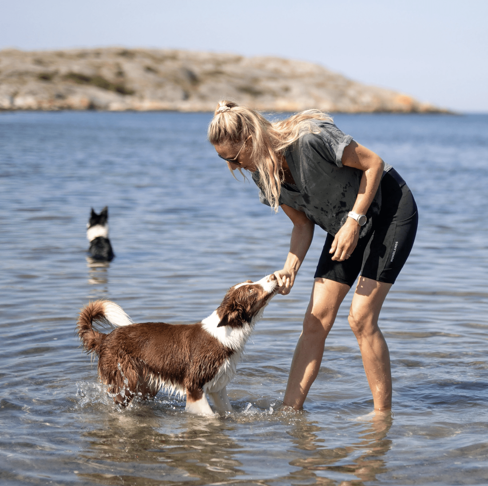 Hundlands Trainingsleggings Fave Short