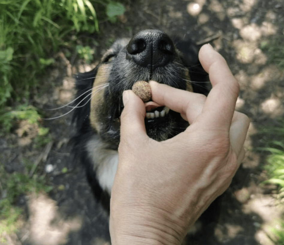 Bildschirmfoto-2026-05-17-um-20.59.55.png