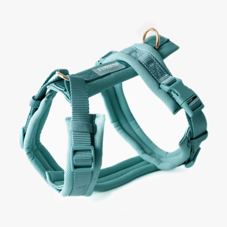 Furlou Y-Hundegeschirr "blau"