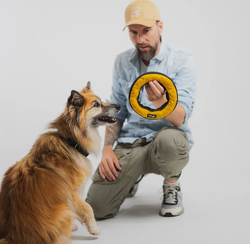 Redoggo Hundespielzeug Donut "orange/blau"